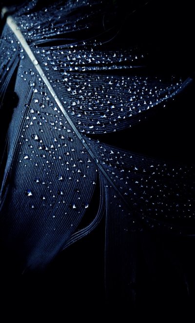 Черная тема