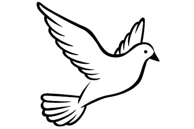 Голубь раскраска