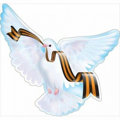 Голуби на 9 мая