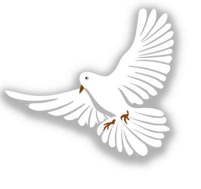 Голуби мультяшные