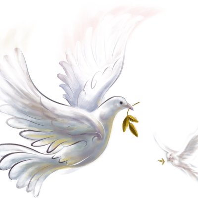 Голубь на прозрачном фоне