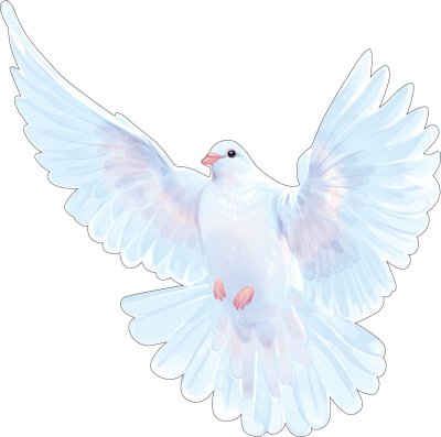 Дети голубей