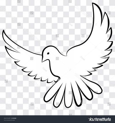 Голубь очертание