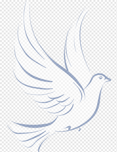 Голубь рисунок