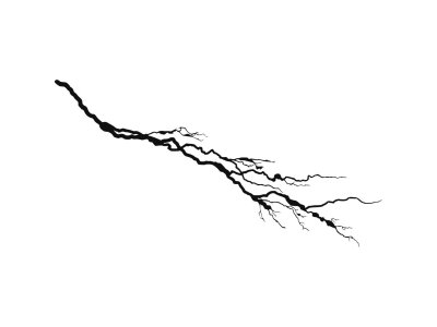 Молния чёрно белая