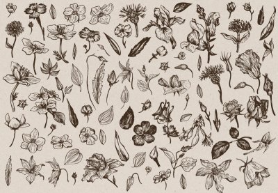 Красивый принт на бумаге