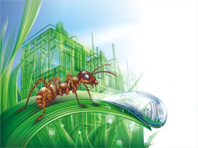 Муравейник насекомые