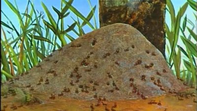 Муравьи в муравейнике