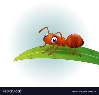 Муравей картинка для детей