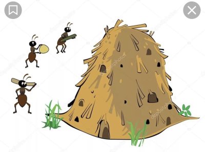 Изображение муравейника для детей