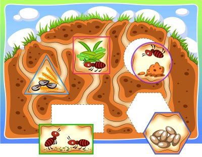 Дети и Муравейник в детском саду дети