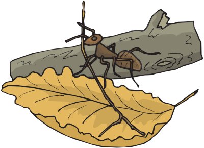 Муравей рисунок