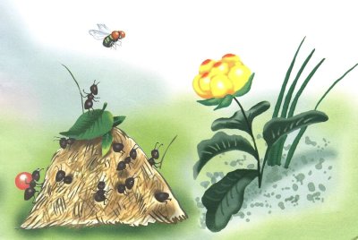 Муравейник для детей