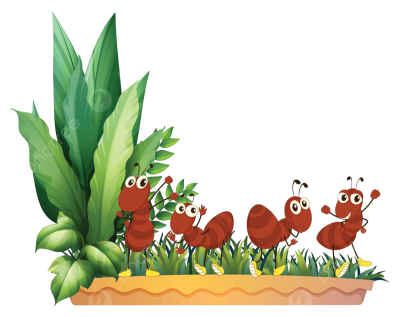 Рамочки с муравьями