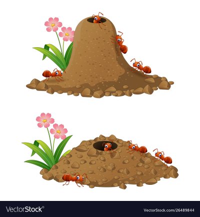 Муравейник картинка для детей