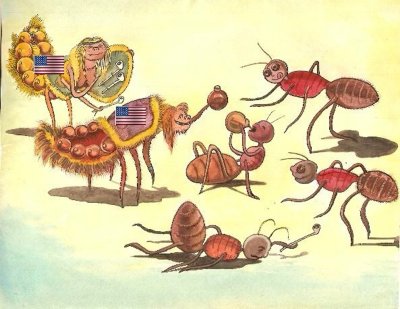 Ломехуза в муравейнике