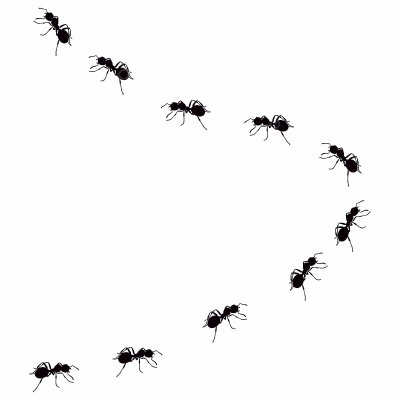 Муравей ползет