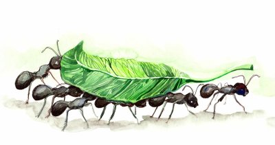 Муравей на фоне муравейника