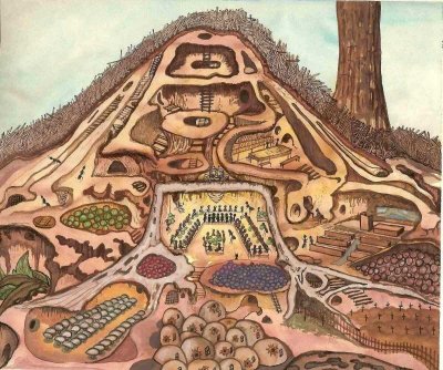 Муравейник внутри