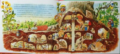 Строение муравейника