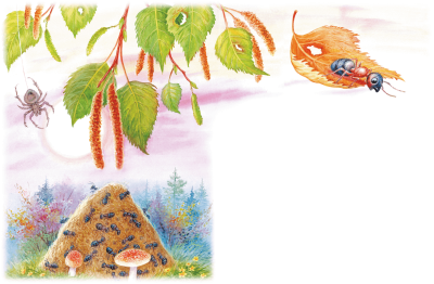 Приключения муравьишки сказки Бианки
