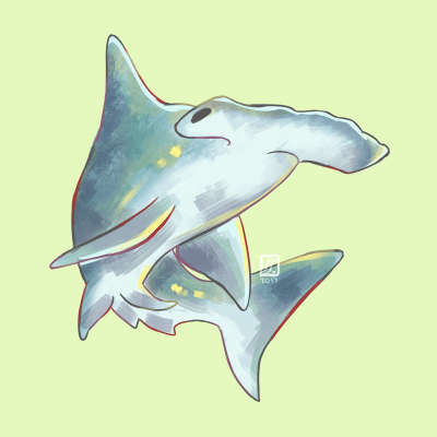 Милые акулы