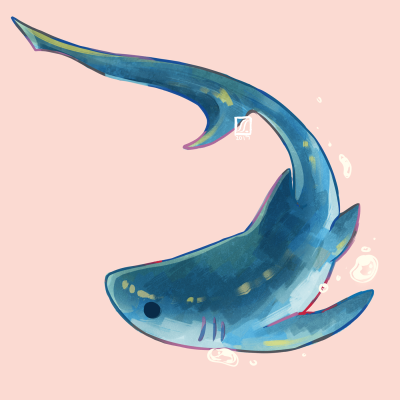 Акула рисунок