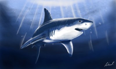 Акула МЕГАЛОДОН