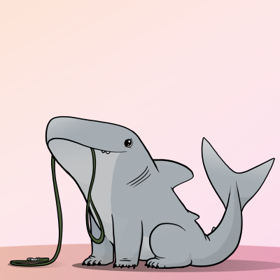 Милые акулы