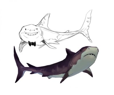 Хвост акулы референс