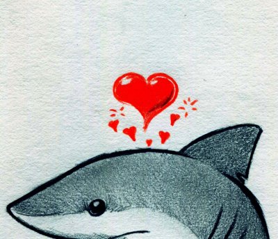 Акула рисунок