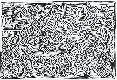 Самый сложный Лабиринт в мире Кадзуо Номура