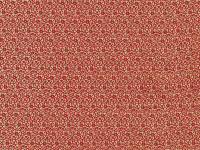 Кристофер Тайлер стереокартинки