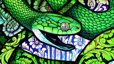 Змеиный узор