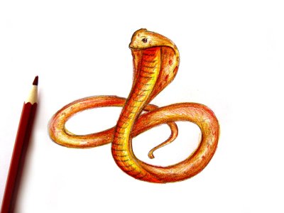 Рисунок змеи