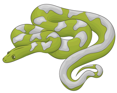 Питон на прозрачном фоне