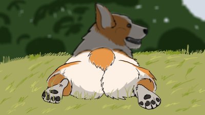 Корги фон для рабочего стола