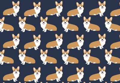 Паттерны с корги