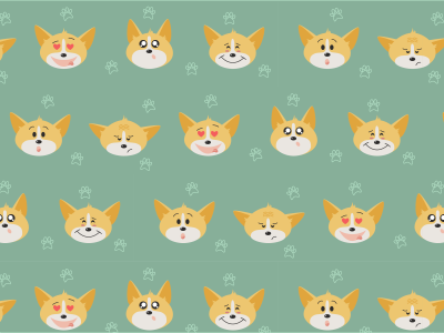 Паттерны с корги