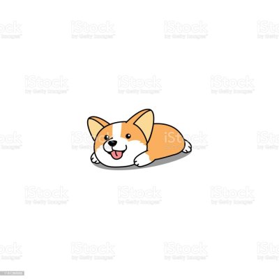 Милые корги на белом фоне