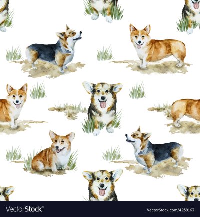 Вельш корги пемброк рисунок