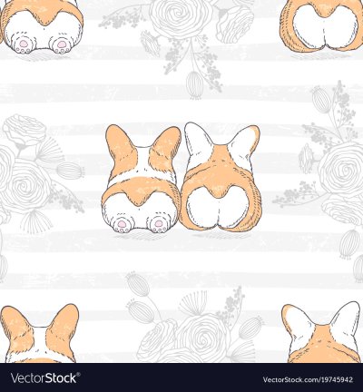 Корги вектор
