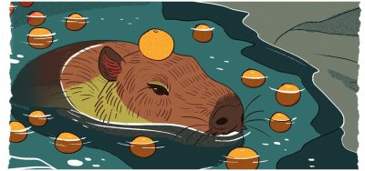 Капибара с апельсином