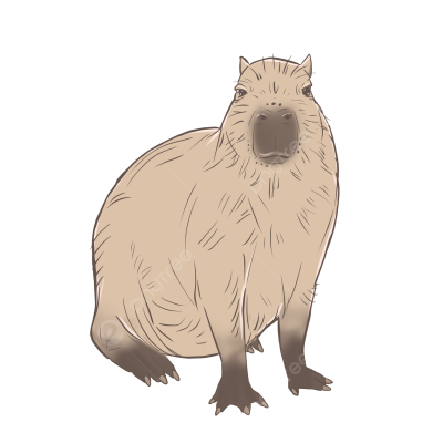 Капибара рисунок