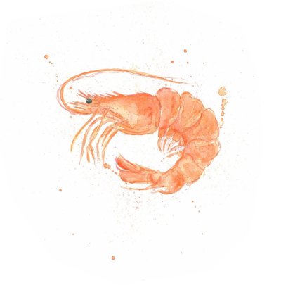 Рисунки креветки