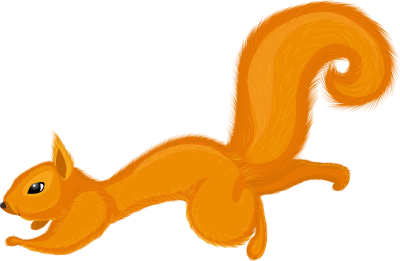 Белка картинка на белом фоне