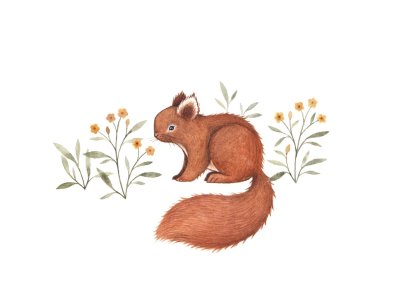 Животные Бельчонок для детей