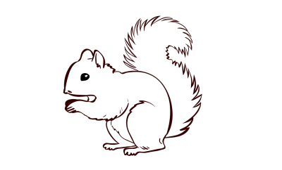 Белочка рисунок