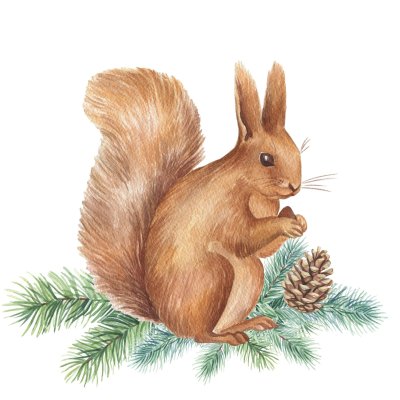 Белка на белом фоне