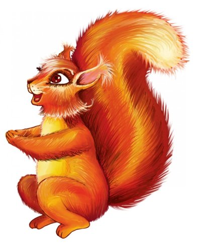 Белка рисунок